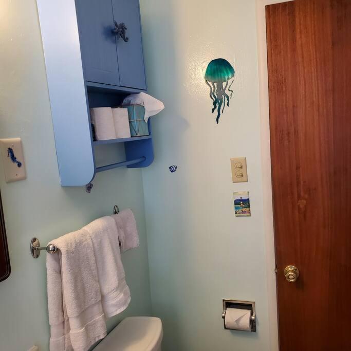 Sweet 2 Bedroom Close To U Of Oregon & Track! Eugene Eksteriør billede