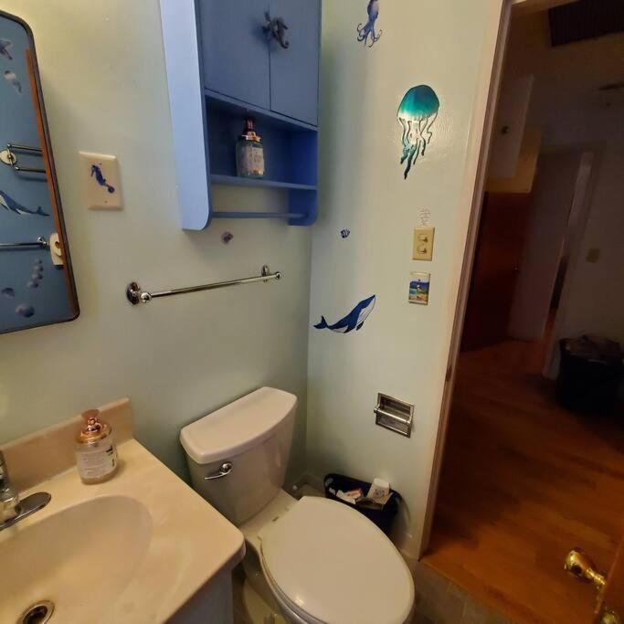 Sweet 2 Bedroom Close To U Of Oregon & Track! Eugene Eksteriør billede
